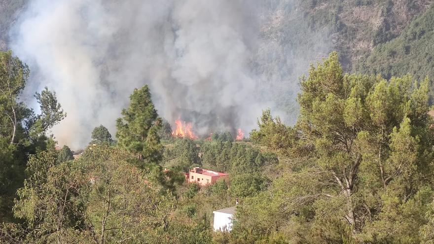 Martin The La Orotava Fire Could Have Been Caused Tenerife Weekly News