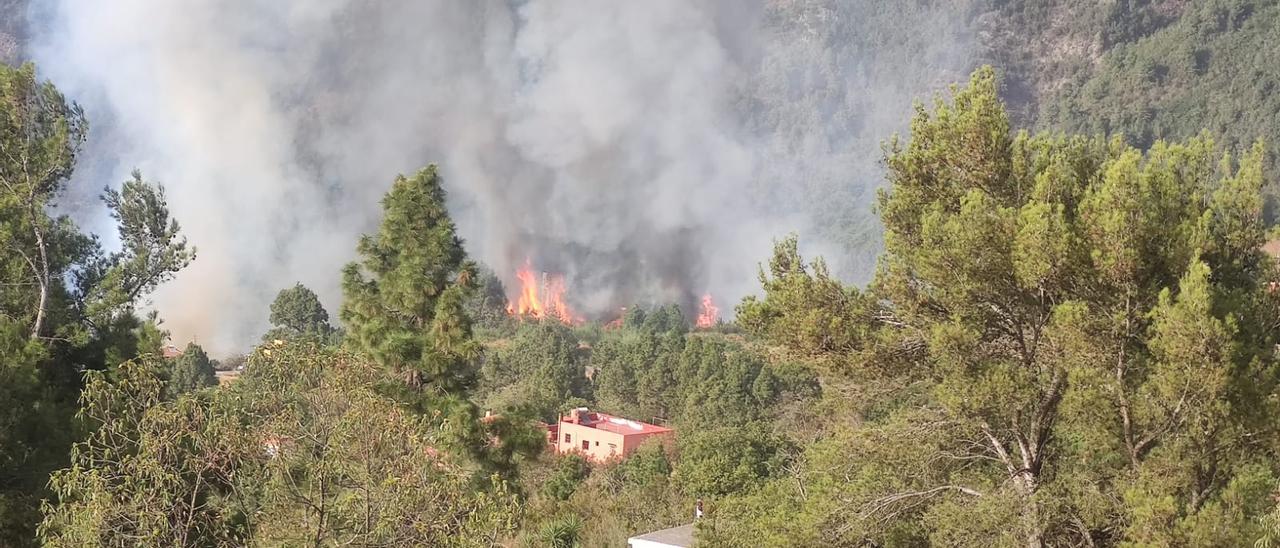 Incendio en La Orotava.