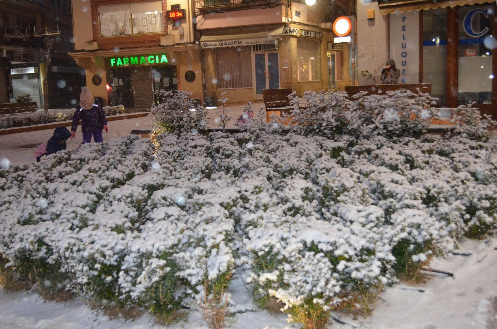 Borrasca Filomena en Benavente, las imágenes del temporal