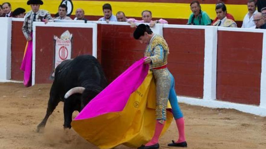 Santiago Esplá, en un lance de su debut ayer en la localidad murciana de Calasparra.