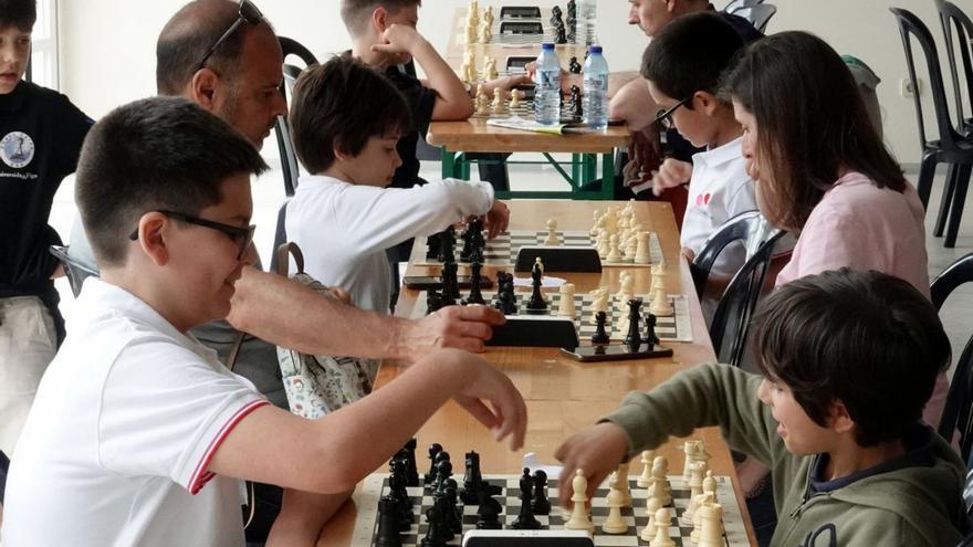 Partidas de ajedrez en la anterior edición de la Semana Verde. |   // CEDIDA