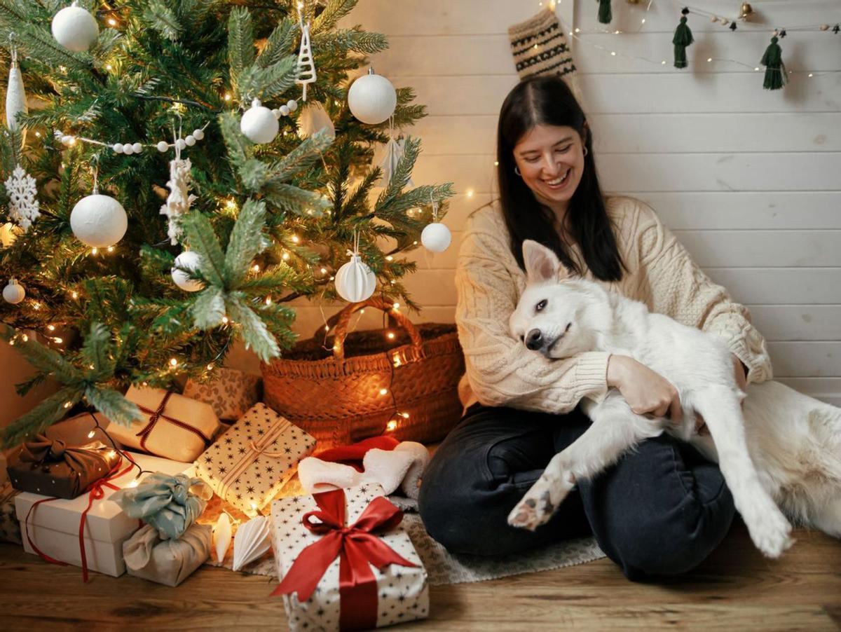 Los perros pueden estresarse con la decoración navideña.