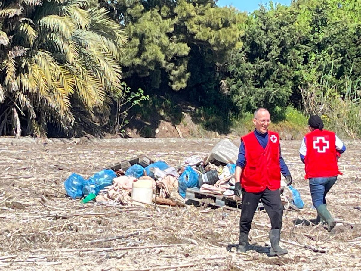 Voluntarios de Cruz Roja limpian arrozales de la Albufera tras la dana.