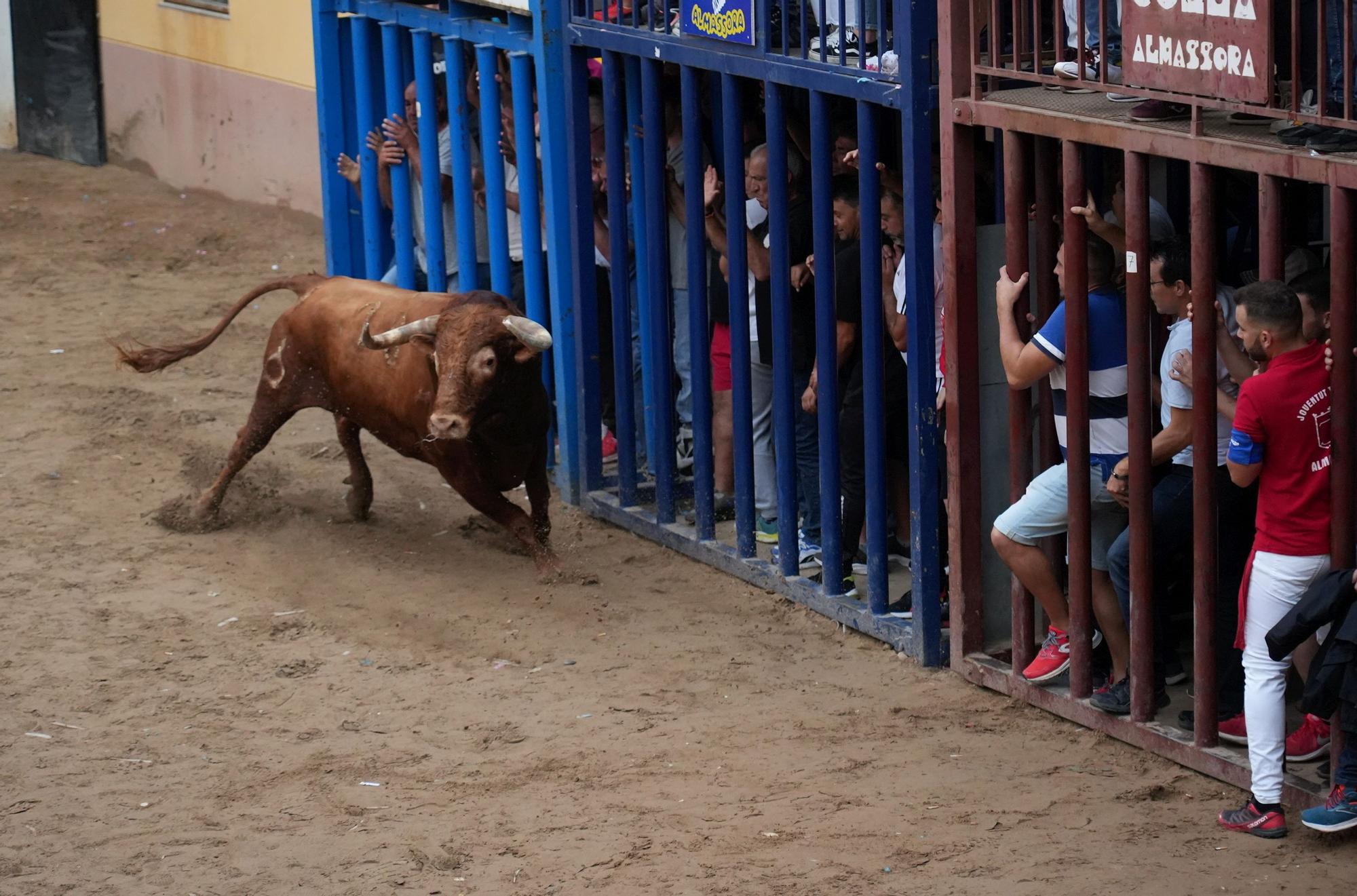 Las fotos de la tarde taurina del lunes de fiestas del Roser en Almassora