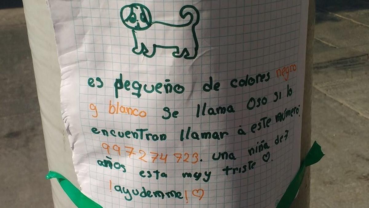 Cartel buscando a su perro