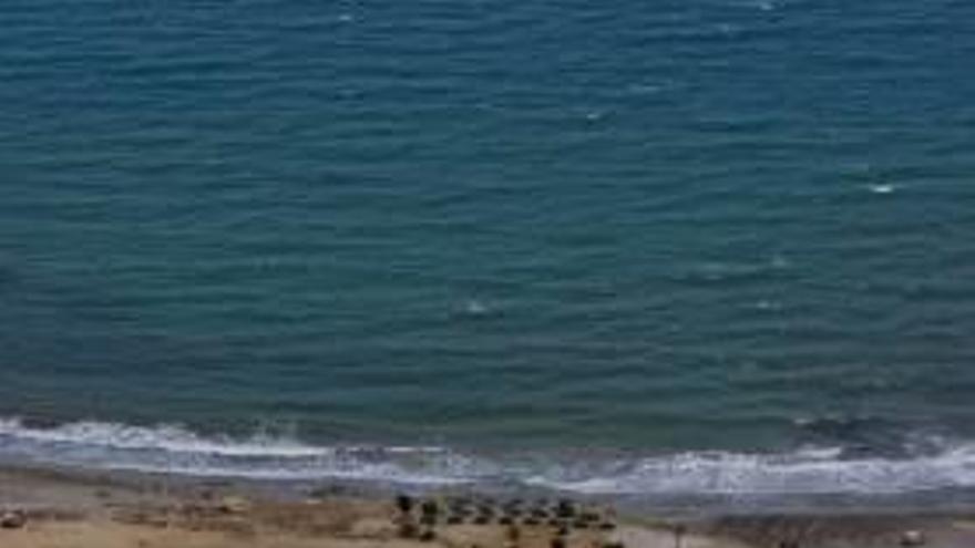 La villa marinera permitirá la presencia de perros en una playa de la zona del cabo