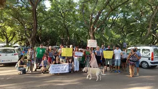 Colectivos ciudadanos y organizaciones ecologistas se manifiestan por la tala de árboles del Hospital Civil