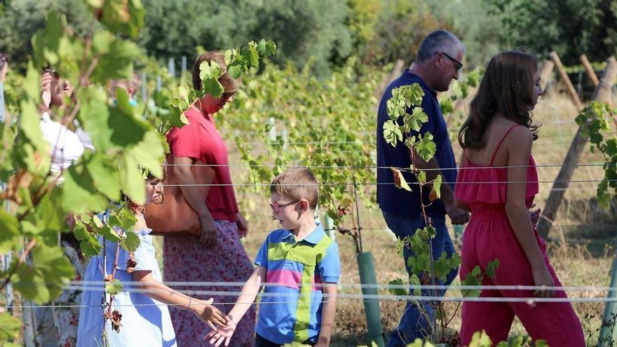 La Ruta del Vino Montilla-Moriles recupera la mitad de los turistas perdidos por el covid