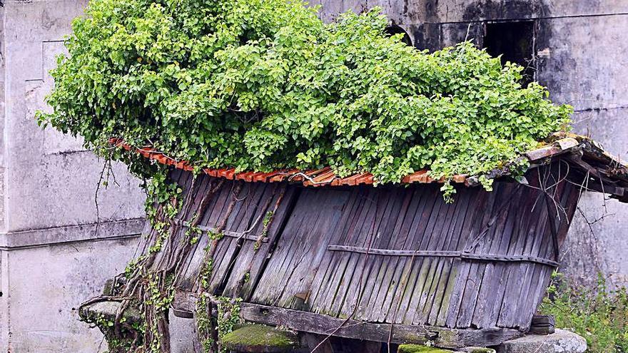 Un hórreo en ruinas en Vigo.   | // MARTA G. BREA