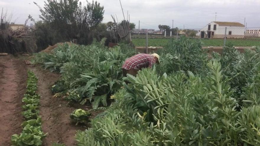 Agricultores lluvia Horta Nord