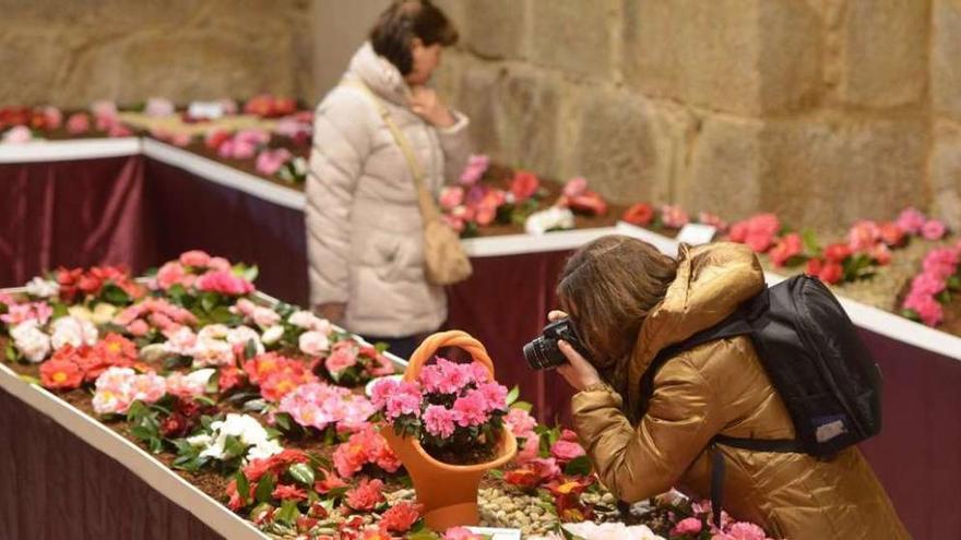 Arriba, una espectadora fotografía algunos de los lotes de la exposición floral. Izda., público asistente a la inauguración. // Gustavo Santos