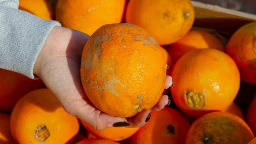 L’ús del malbaratament alimentari, Tema del Diumenge