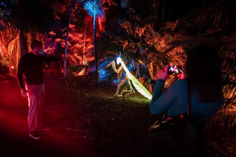 'Naturaleza Encendida'  en el Palmetum (Santa Cruz de Tenerife)