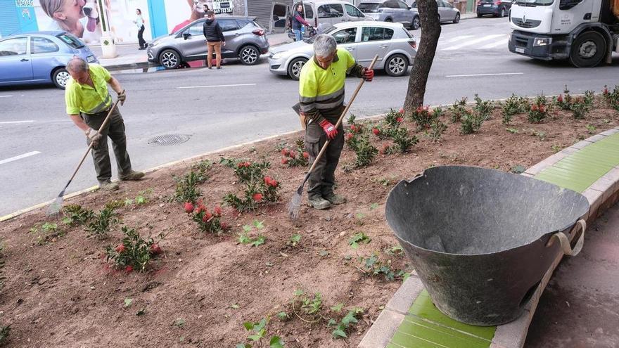 El Ayuntamiento de Elche aprueba las primeras bases para ofertar siete plazas de funcionario a personas con discapacidad