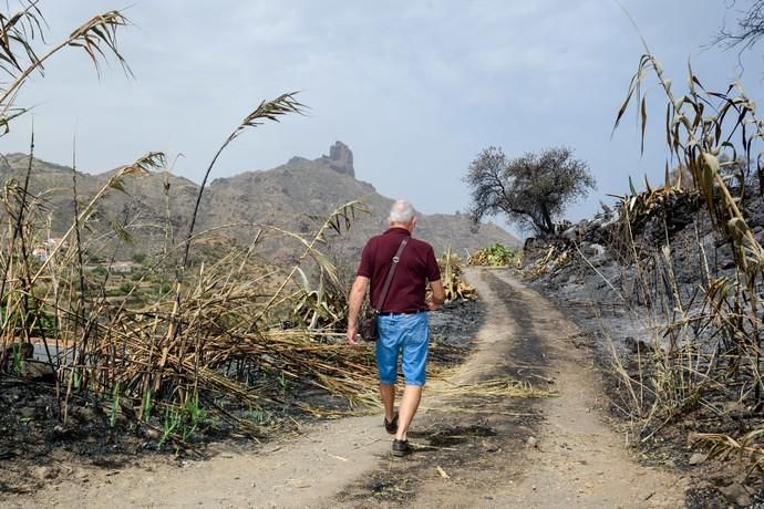 Restos del incendio en la cumbre  | 25/08/2019 | Fotógrafo: Tony Hernández