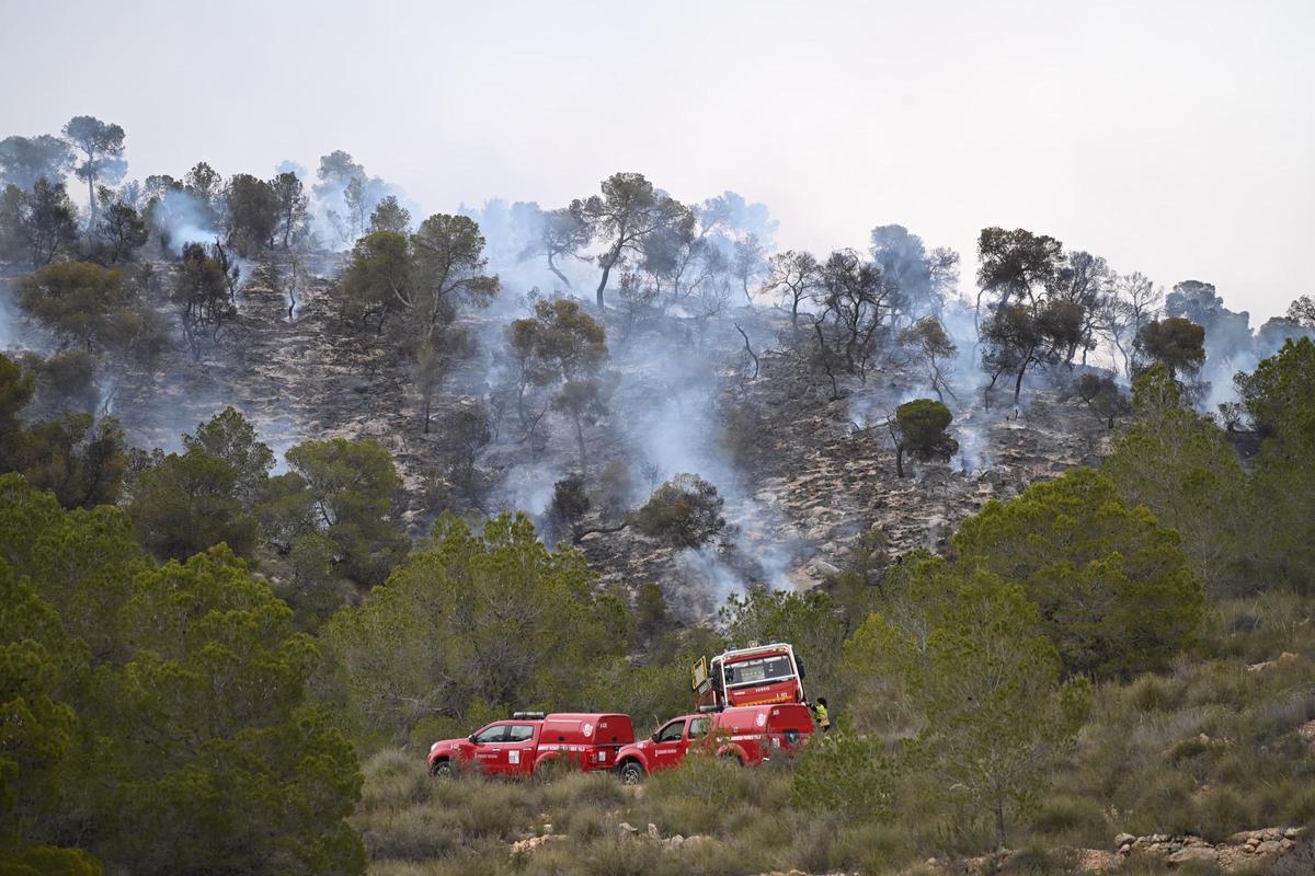 Fuego en Algueña: así está siendo el operativo para la extinción