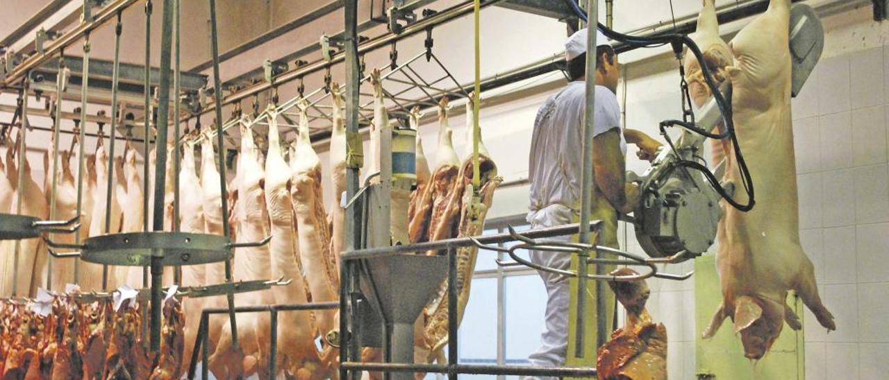 Una imagen de la zona de despiece de cerdos y lechonas en el matadero municipal de Manacor que cerrará sus puertas el viernes.