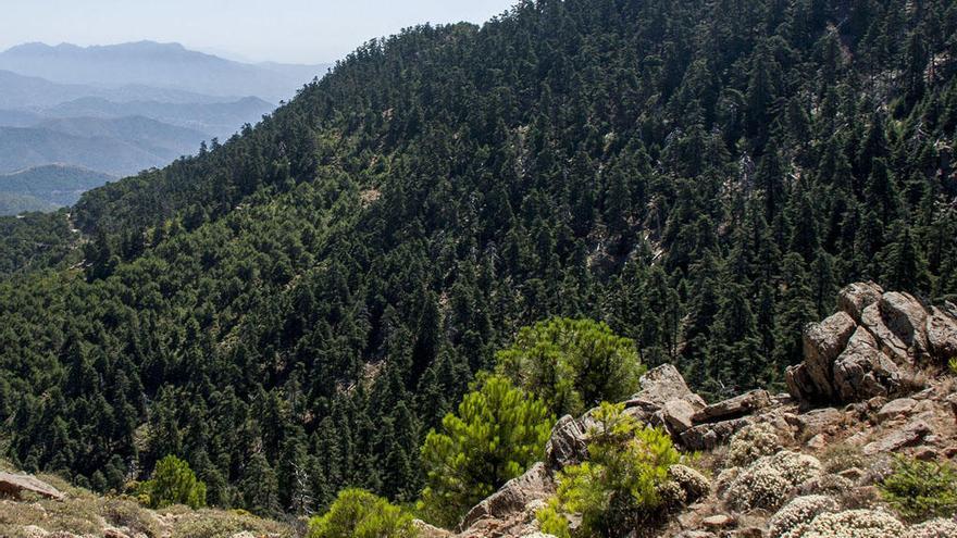 Vista del entorno de Los Reales en el corazón de Sierra Bermeja.