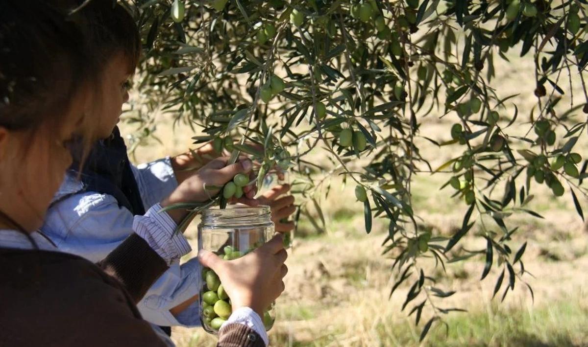 Nuevas experiencias y eventos "para ser inolvidables": así espera Toledo liderar el turismo de interior en 2026