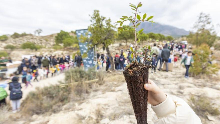 La Generalitat elige Finestrat conmemora el “Dia de l’Arbre de la Comunitat Valenciana”