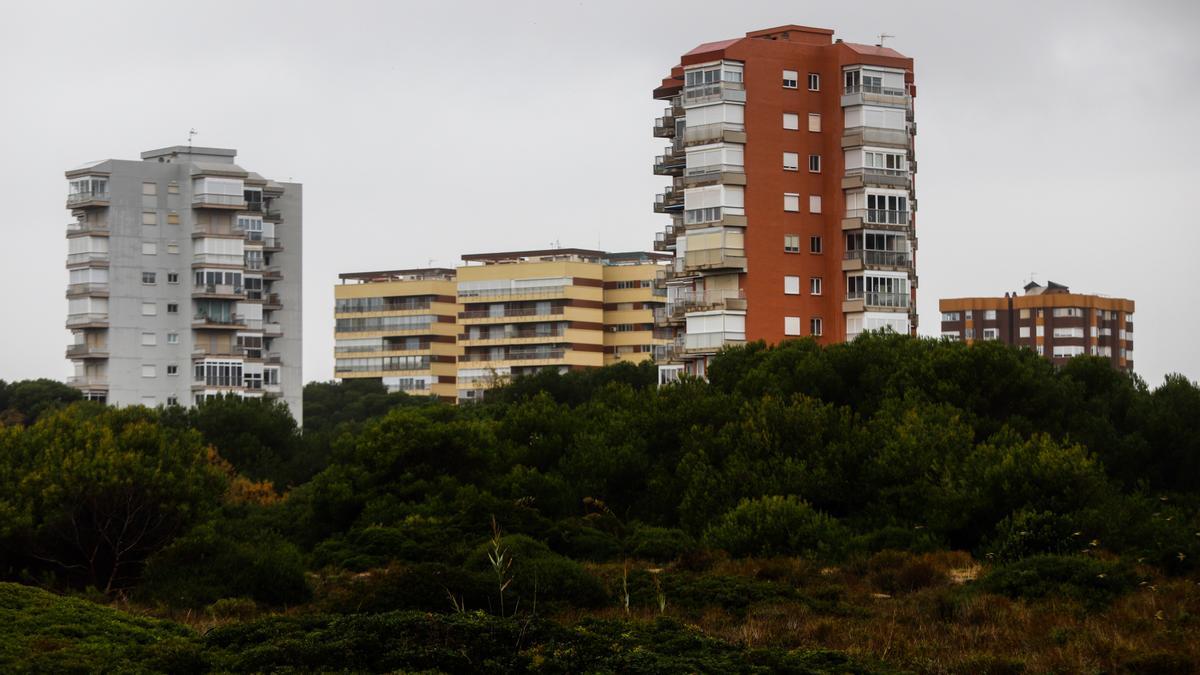 Edificaciones en el bosque de la Devesa en torno a las cuales habría que levantar cortafuegos de 30 metros de ancho.