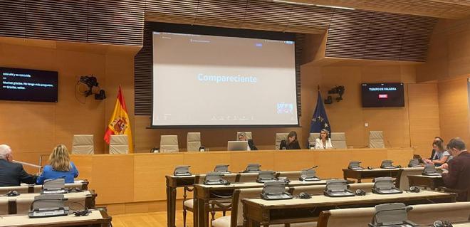 El agente que mandaba el CNI en Girona en 2017 niega cualquier contacto con el imán de Ripoll y explica que "nadie sospechó absolutamente nada"