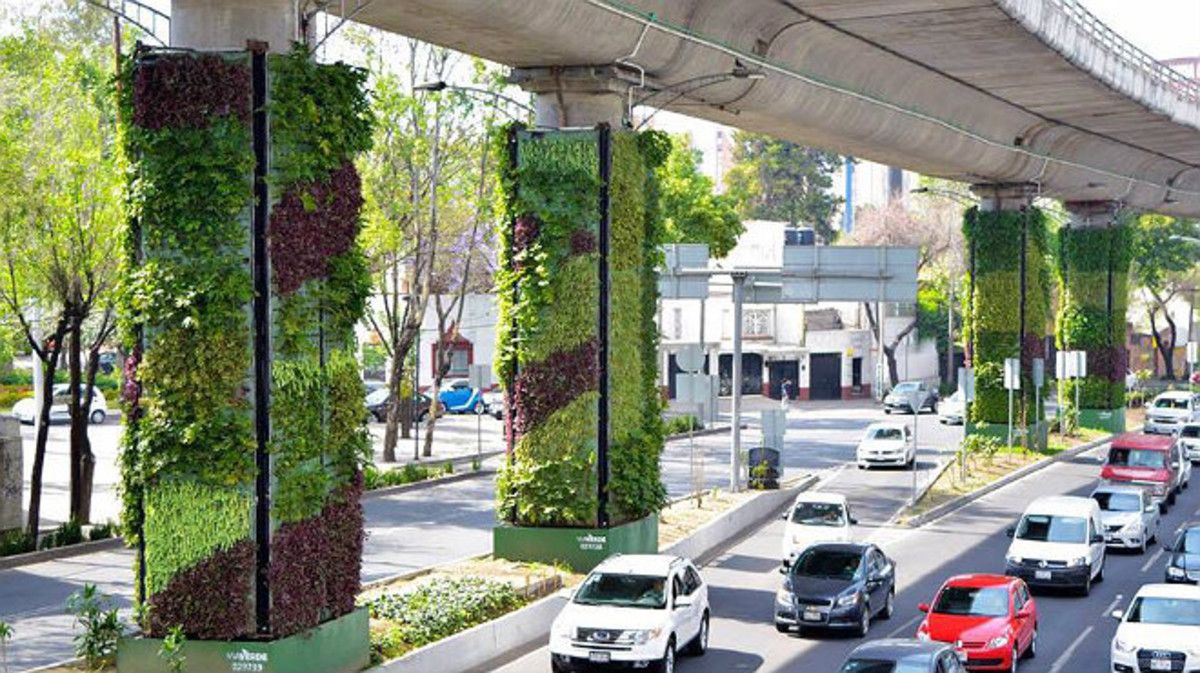 Jardines verticales, obras estéticas combaten contaminación en ciudades