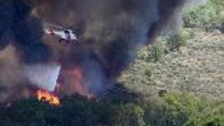 El fuego destruyó este año 1.390 hectáreas de bosque