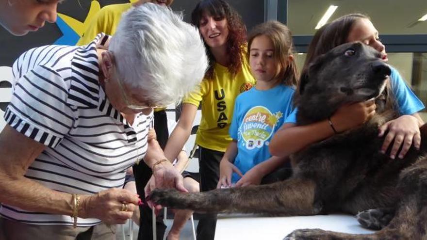 Ayuda canina para los mayores