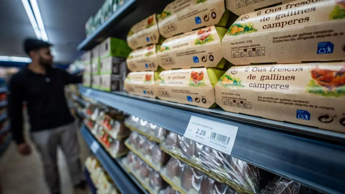 Los vaivenes de la cesta de la compra: el auge de los huevos y otros nueve cambios en 2024