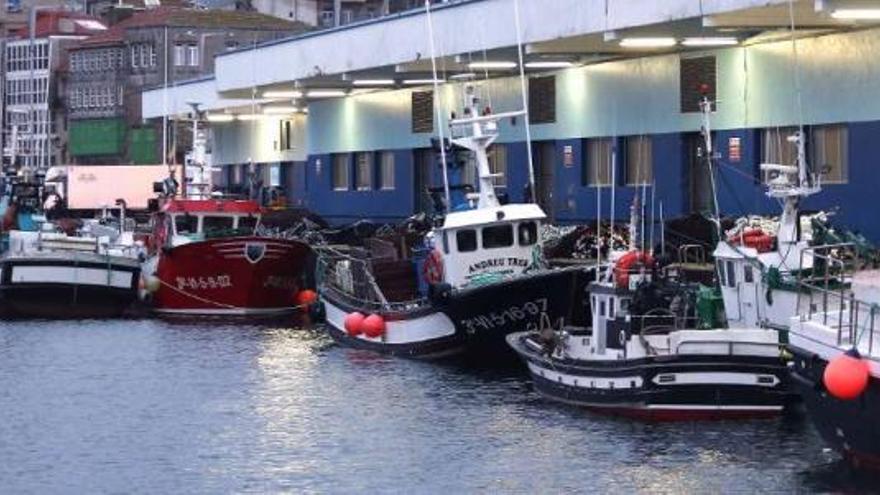 Flota de cerco amarrada a un puerto gallego en protesta por el reparto de los cupos de xarda. / ricardo grobas