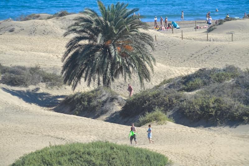 Dunas de Maspalomas