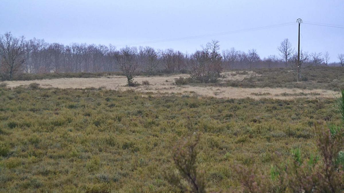 Terrenos cedidos para la instalación de la planta solar en Muelas de los Caballeros y Justel. | A. S.