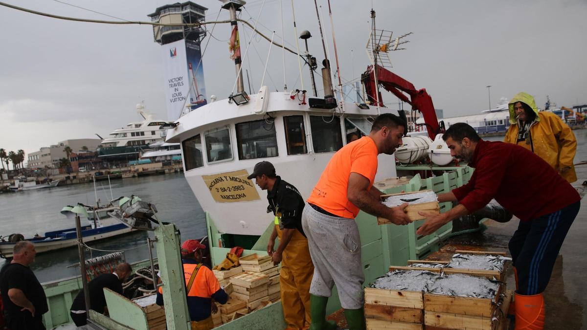 Del mar a la mesa: Así es la oferta gastronómica de proximidad de la Copa América