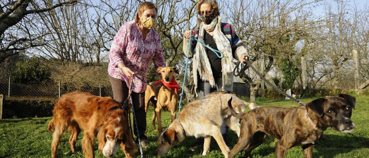 Dos vecinas de A Estrada, con perros adoptados procedentes del CAAN. |  // BERNABÉ/JAVIER LALÍN