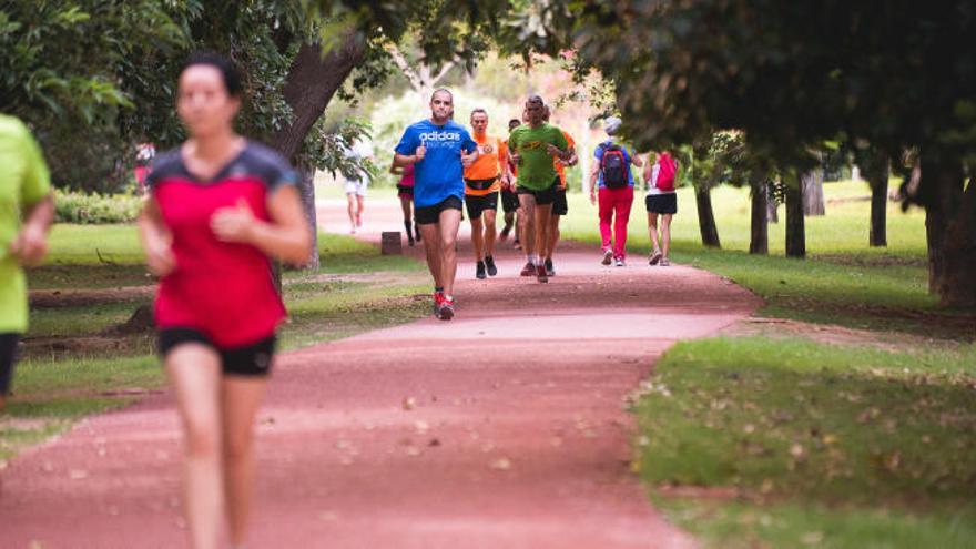 El &#039;Circuit 5K Jardí del Túria&#039; cumple su primer año