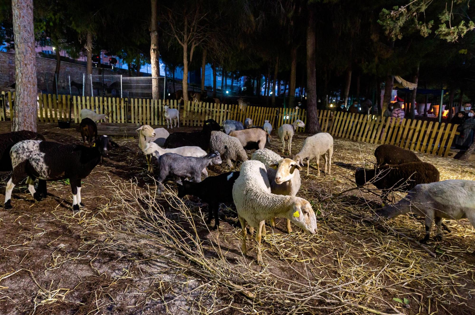 Así es el campamento de los Reyes Magos en Benidorm