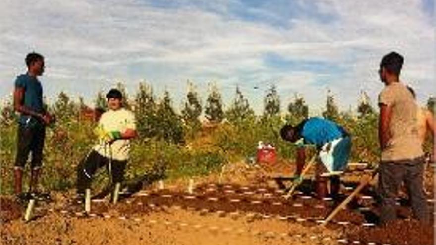 Un grup de joves treballant a l&#039;hort cedit per l&#039;Ajuntament.