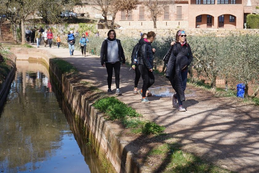 Transéquia 2024: Busca't a les fotos