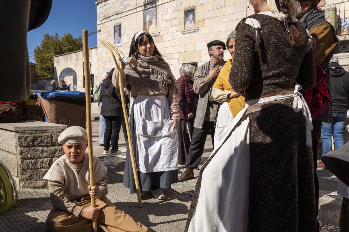 Imatges de la Fira de l'Abat de Navarcles 2026