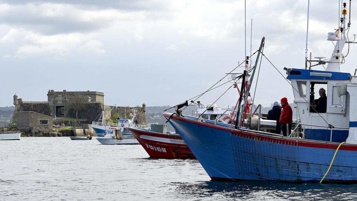 Varios barcos de flota artesanal en A Coruña.