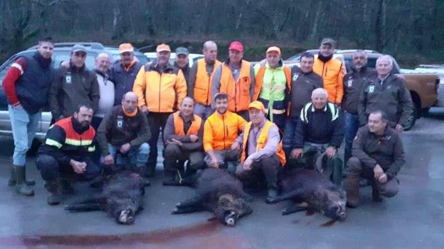 Tres jabalíes abatidos por los cazadores de la cuadrilla de Dozón