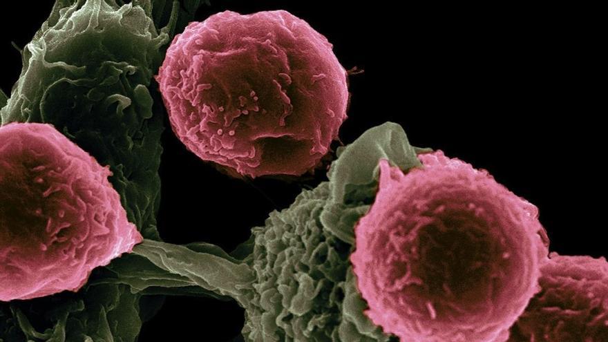 Investigan moléculas sintéticas para mejorar el tratamiento del cáncer