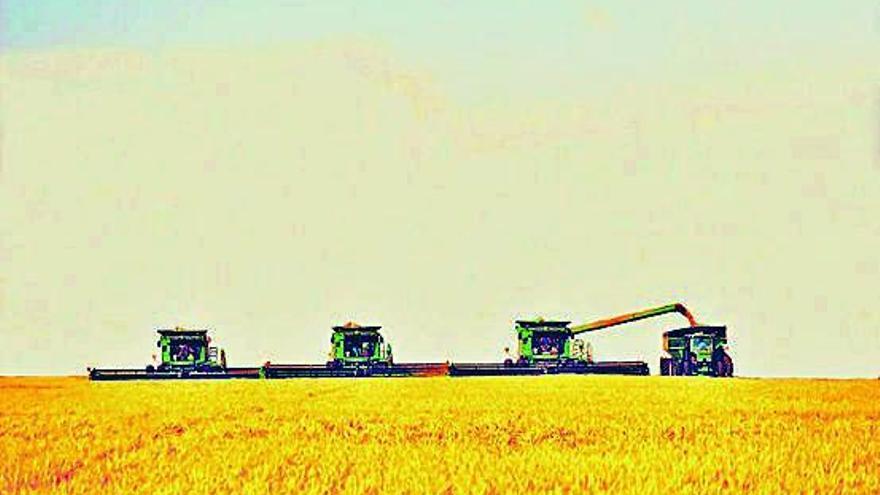 Diverses màquines agrícoles treballant en un camp de cereals.