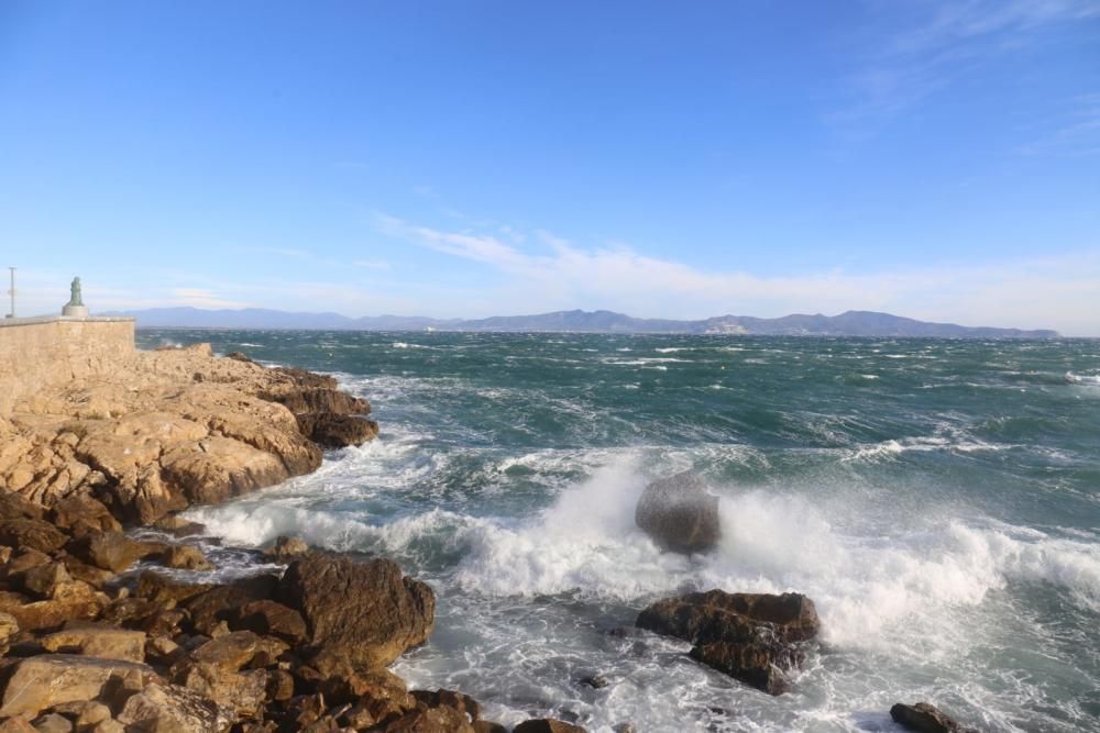 El vent provoca destrosses a l'Empordà