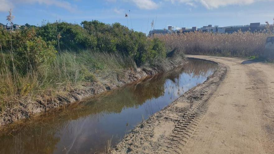 Medio ambiente en Ibiza: finaliza la limpieza de ses Feixes des Prat de ses  Monges y el torrente de Jesús - Diario de Ibiza