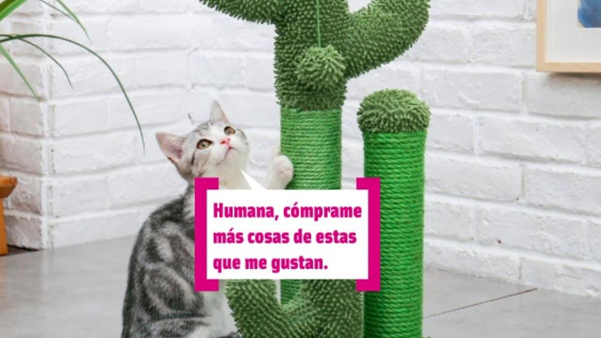 Juguetes y accesorios para gatos que molan 'marramiau'