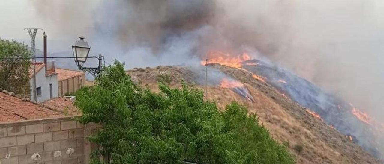 Incendio forestal en el Moncayo, este sábado