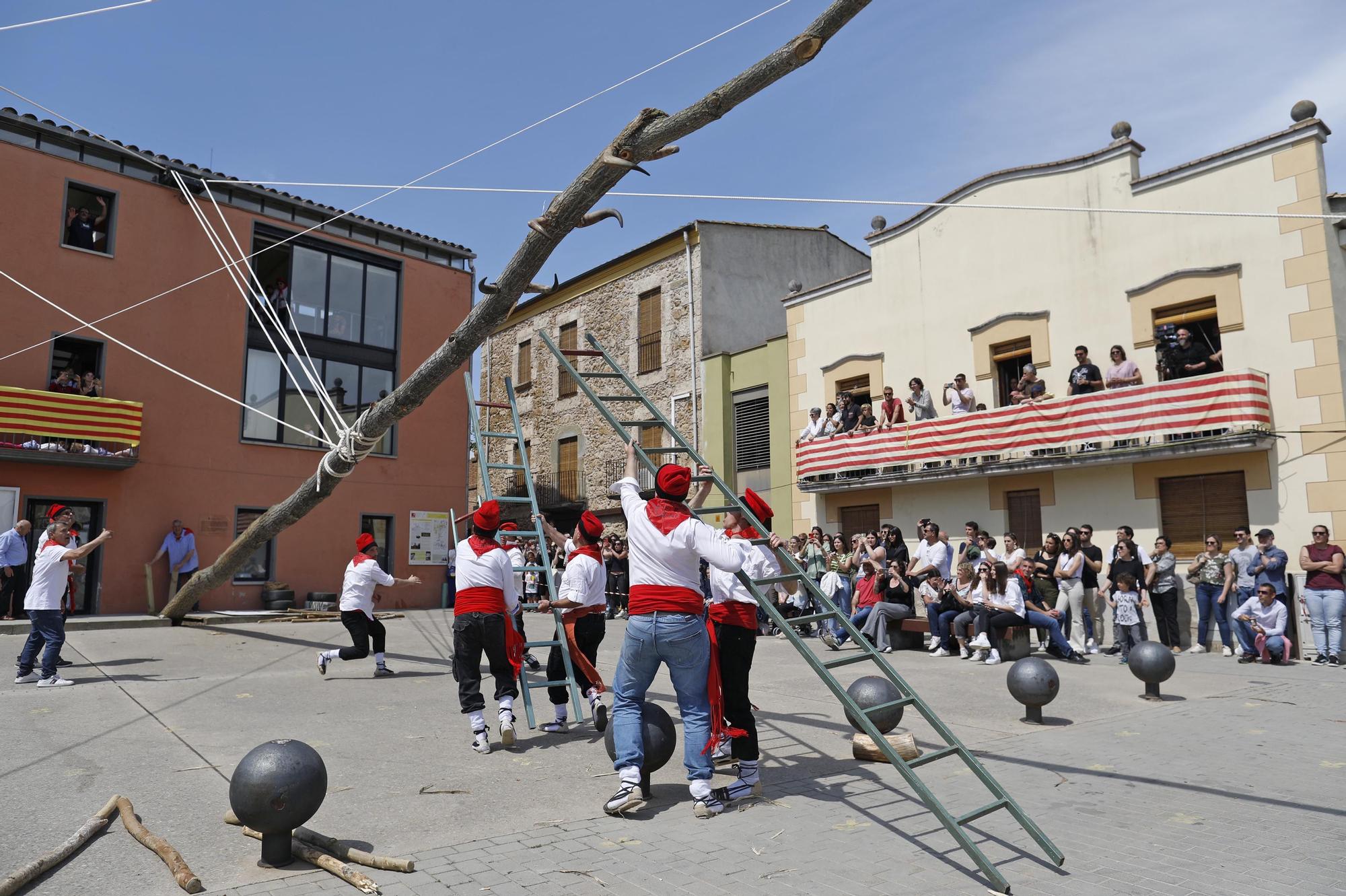 El Ball del Cornut i la plantada de l'arbre tornen a Cornellà del Terri