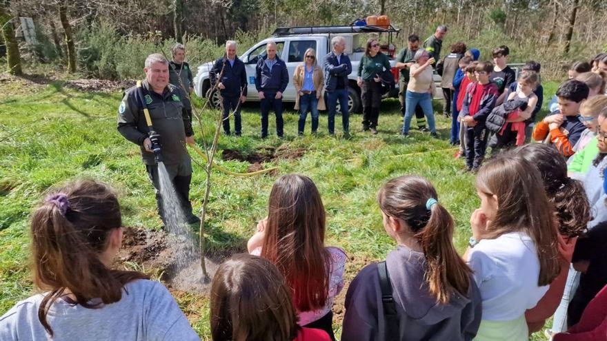 Riego de árboles recién plantados con una motobomba forestal.